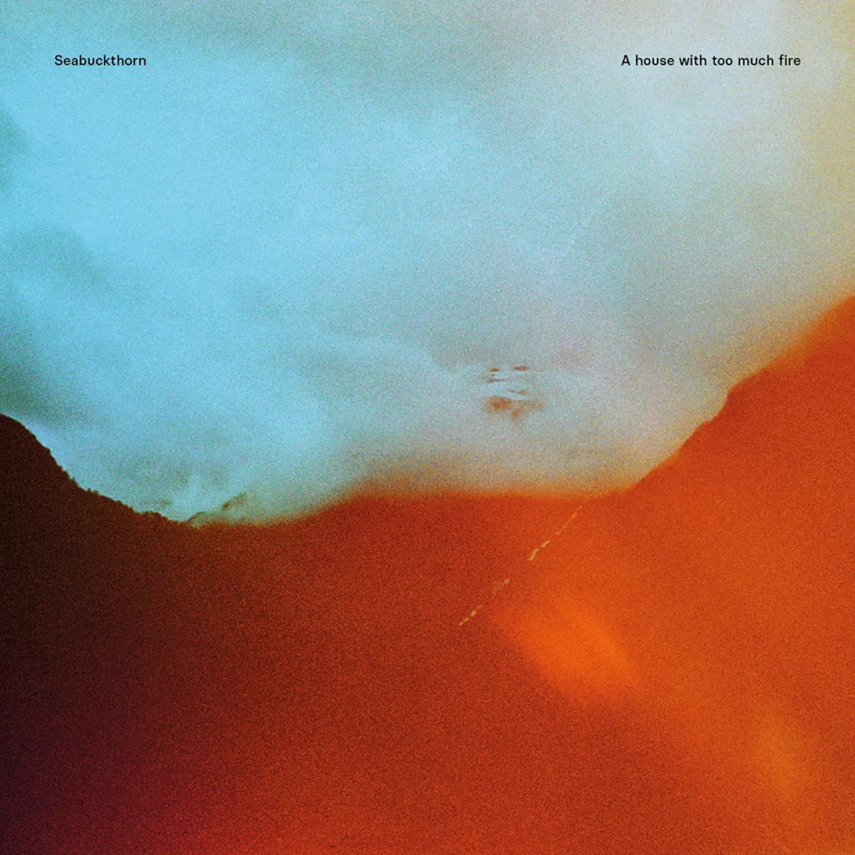 Seabuckthorn – A House With Too Much Fire (LP)